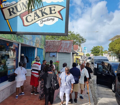Nassau Bahamas tour service