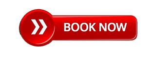 book-bahamas-tours
